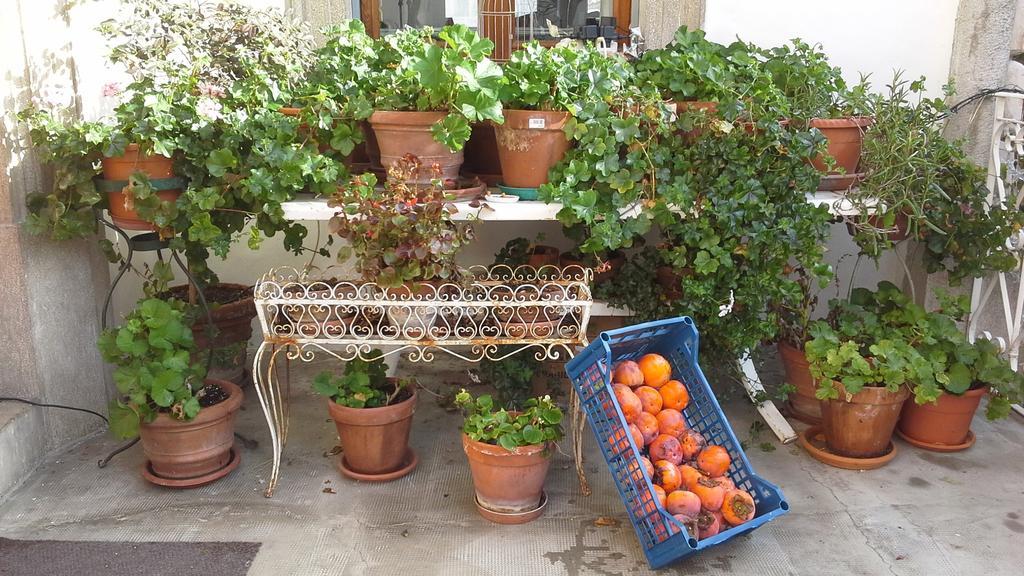 Villa Maria Bed & Breakfast, Corridonia, Marche Ngoại thất bức ảnh